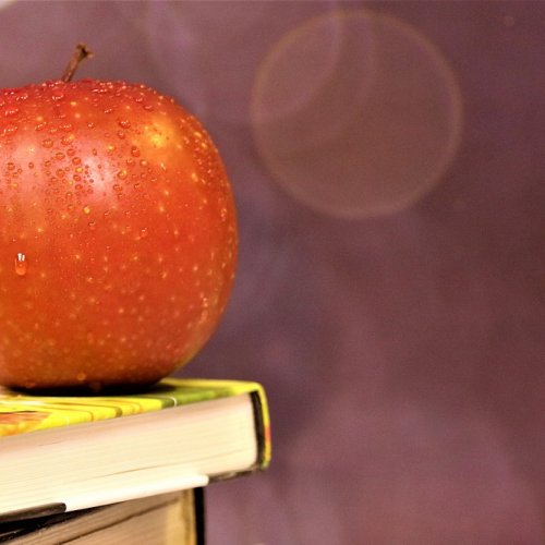 Országossá bővül az Etesd az Eszed iskolai kihívás 
