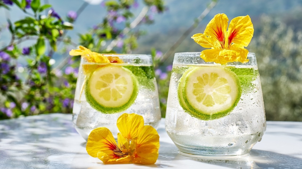 Borókás klasszikus vagy pink gin? Útmutató a legnépszerűbb gintípusokhoz