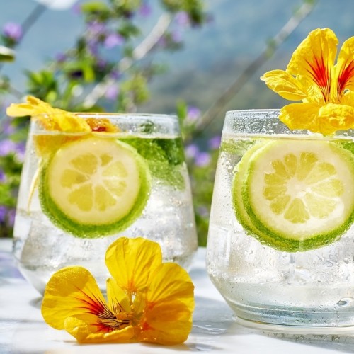 Borókás klasszikus vagy pink gin? Útmutató a legnépszerűbb gintípusokhoz