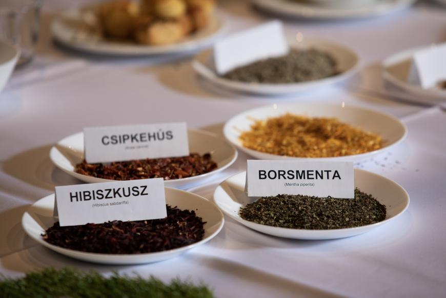 fuzetea-8588.jpg